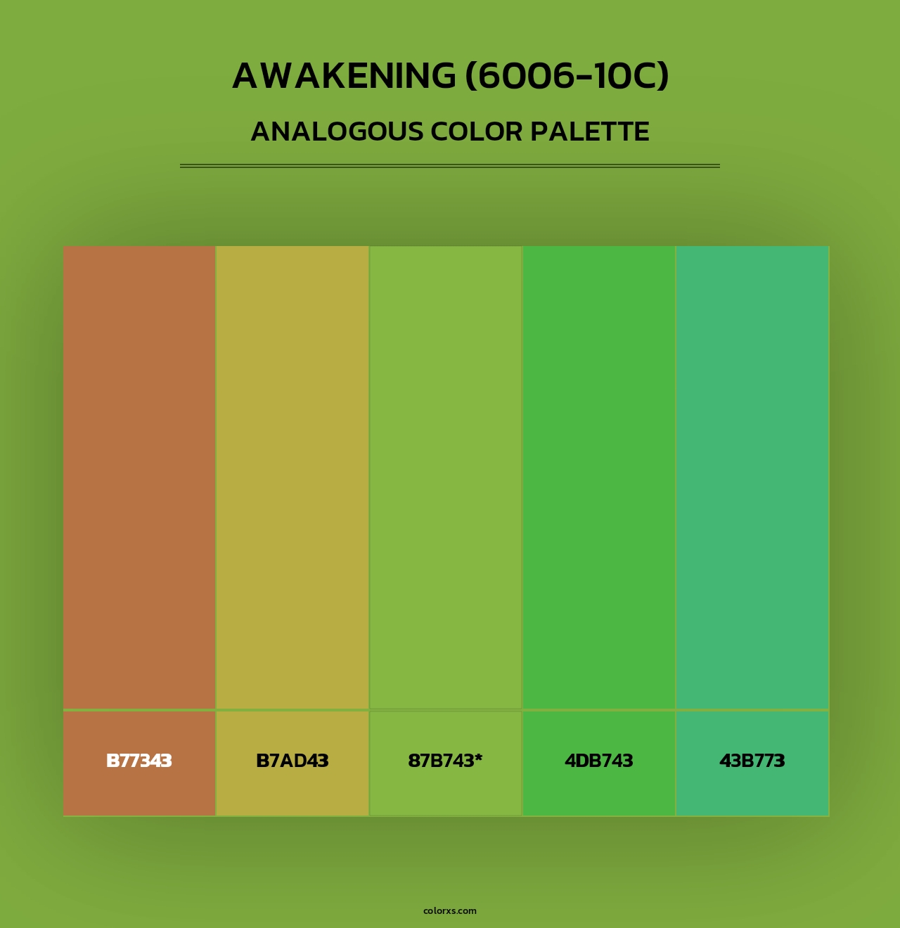 Awakening (6006-10C) - Analogous Color Palette