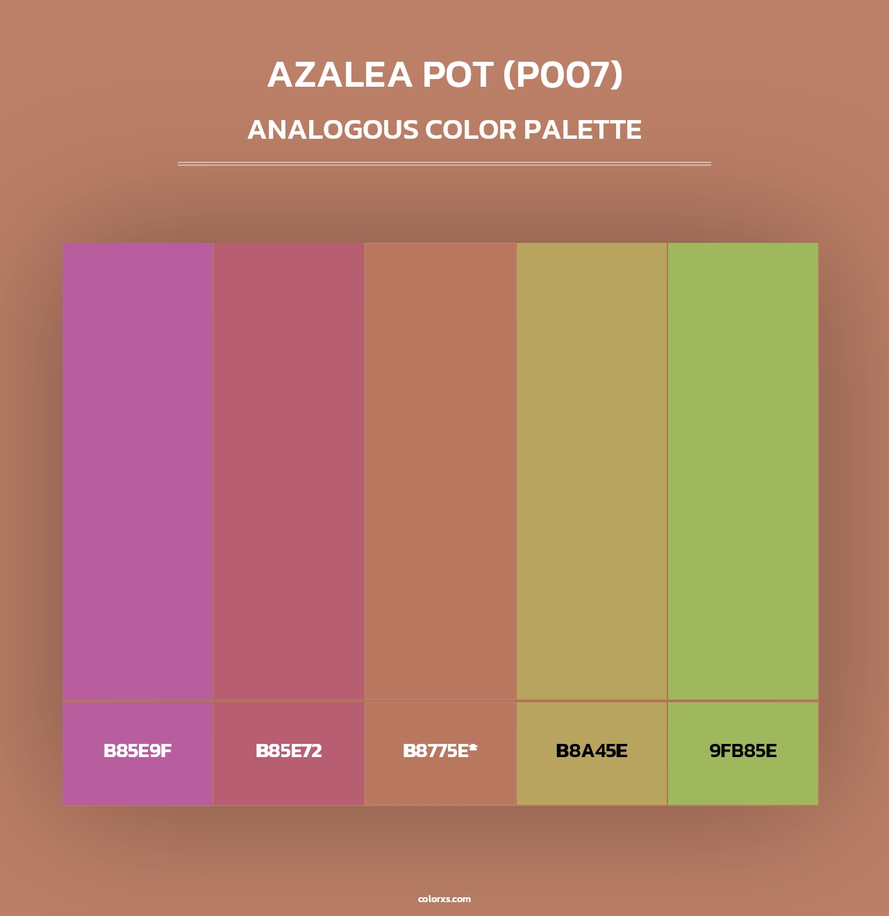 Azalea Pot (P007) - Analogous Color Palette