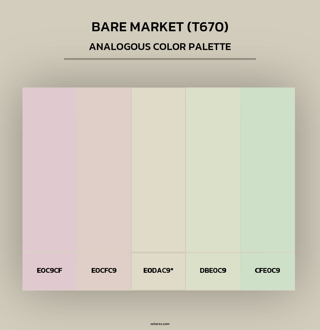 Bare Market (T670) - Analogous Color Palette