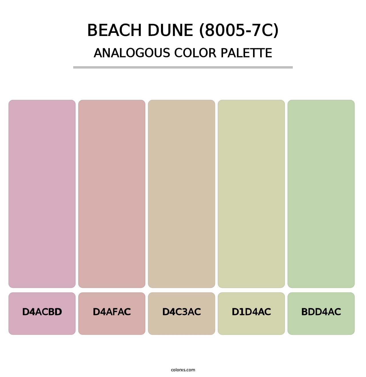 Beach Dune (8005-7C) - Analogous Color Palette