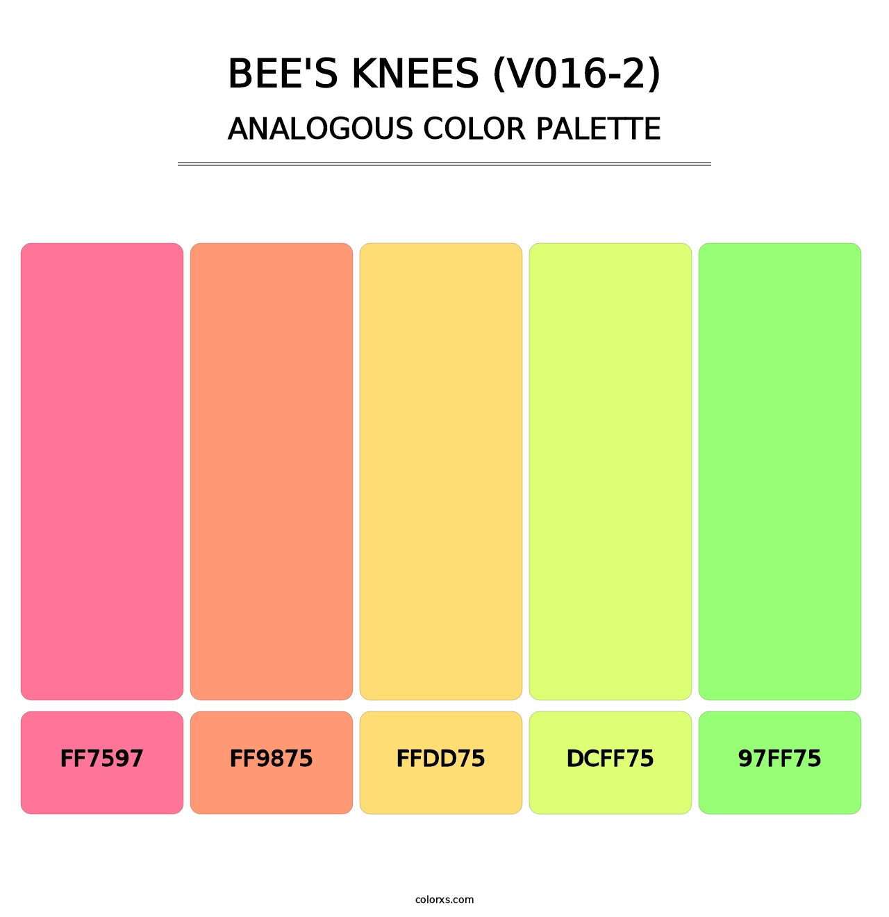Bee's Knees (V016-2) - Analogous Color Palette