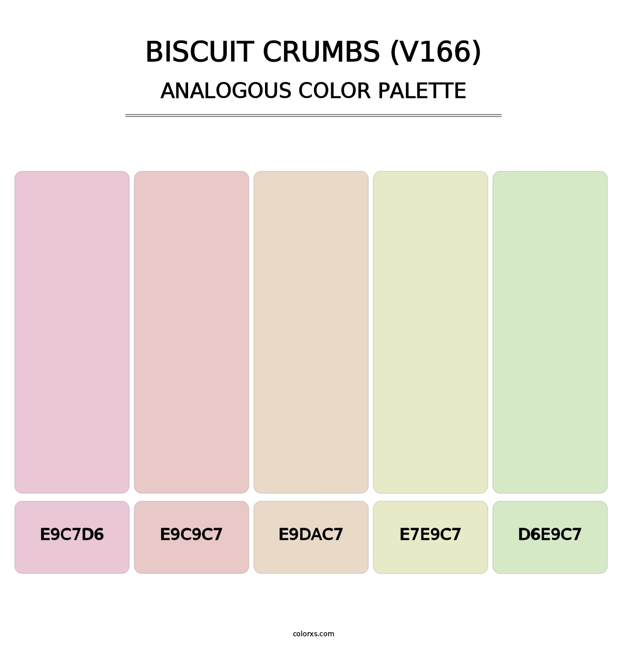 Biscuit Crumbs (V166) - Analogous Color Palette