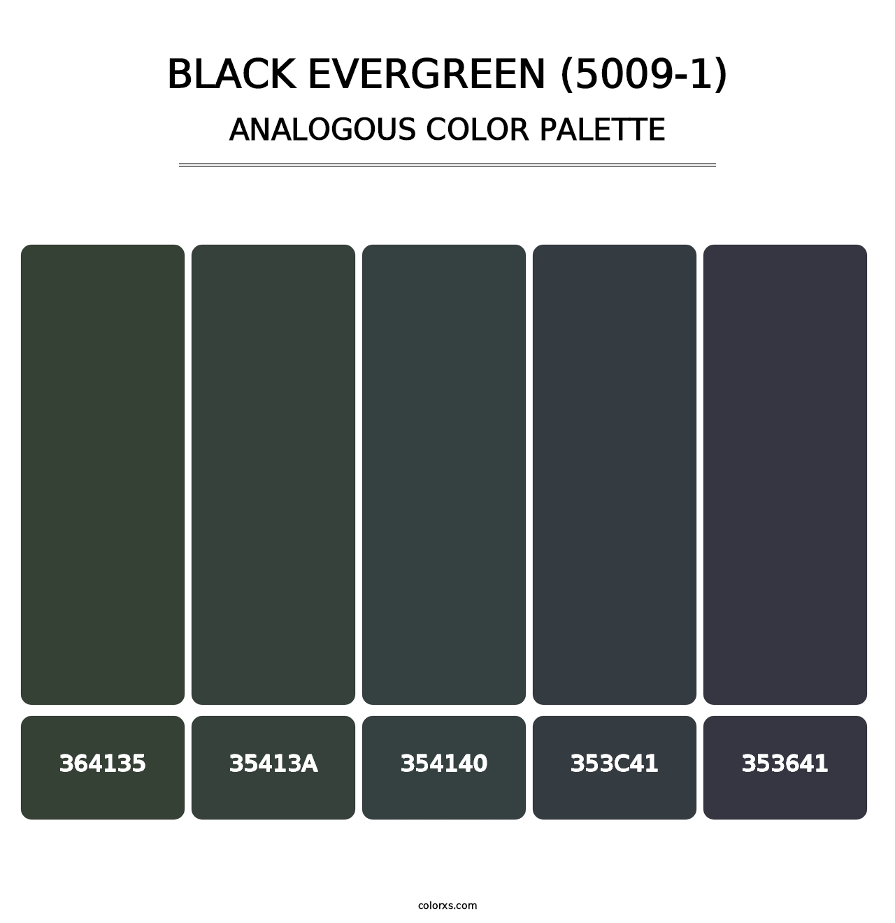 Black Evergreen (5009-1) - Analogous Color Palette