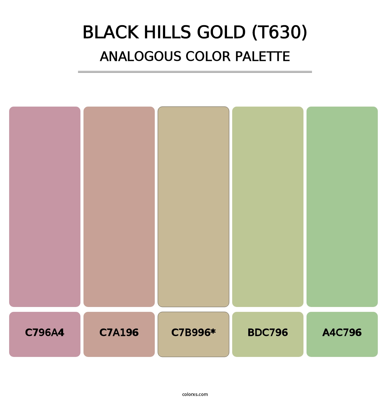 Black Hills Gold (T630) - Analogous Color Palette
