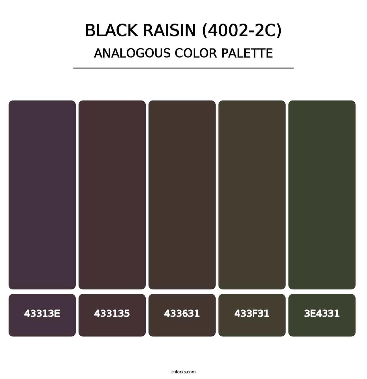 Black Raisin (4002-2C) - Analogous Color Palette