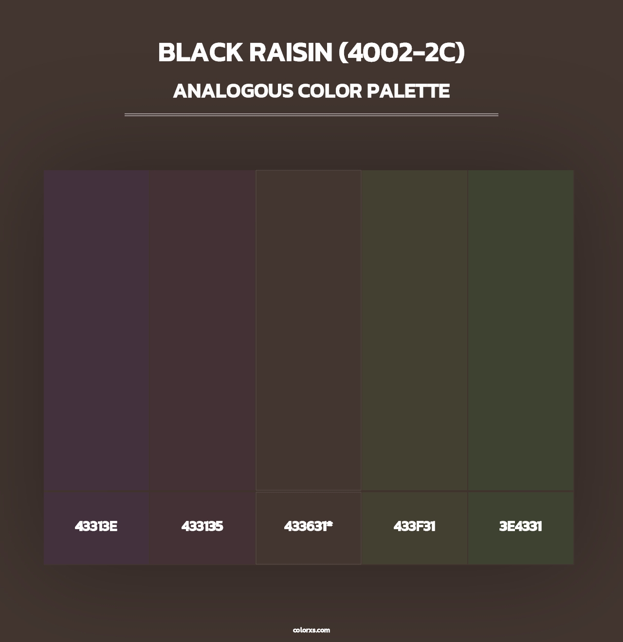 Black Raisin (4002-2C) - Analogous Color Palette
