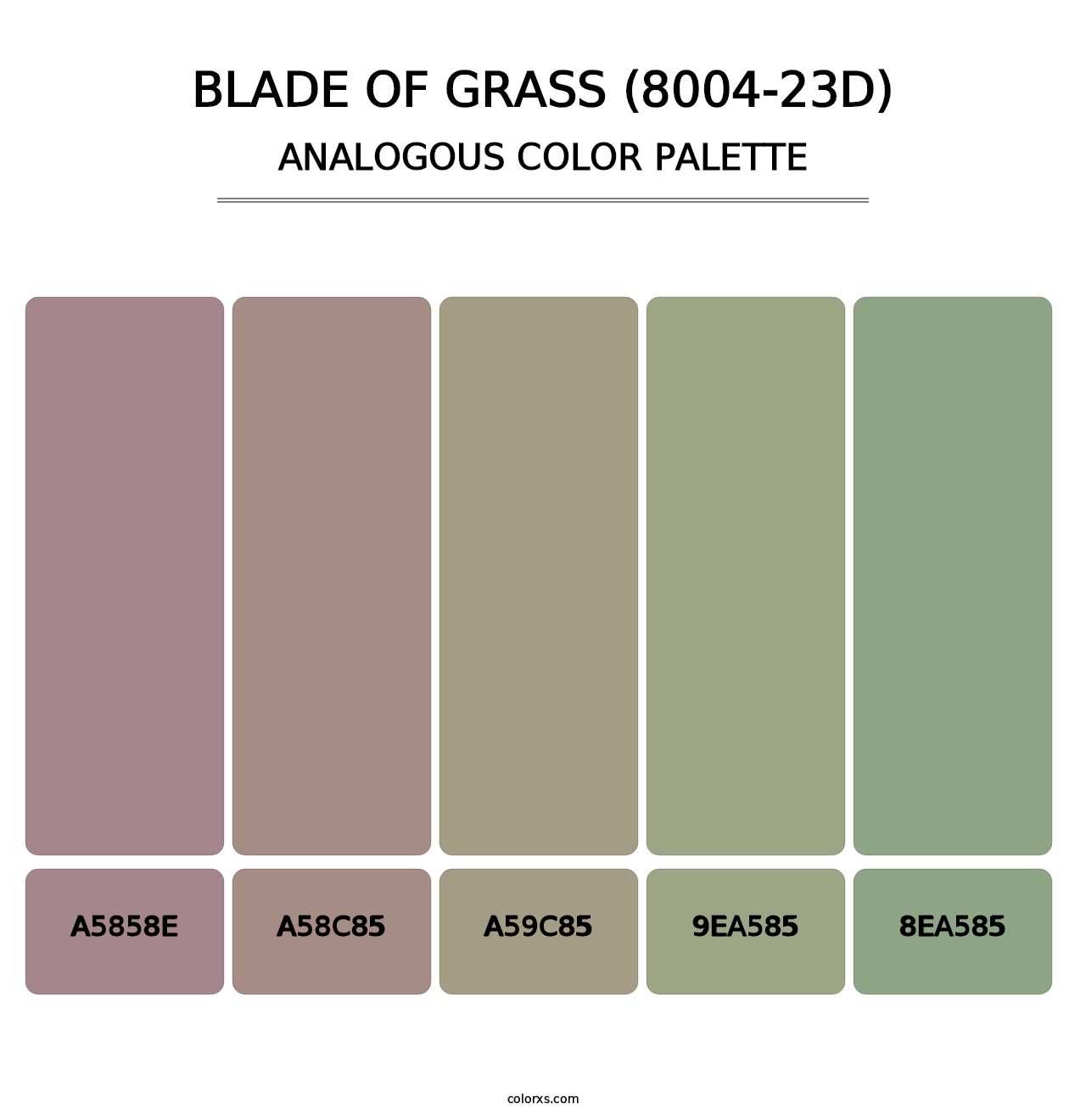 Blade of Grass (8004-23D) - Analogous Color Palette