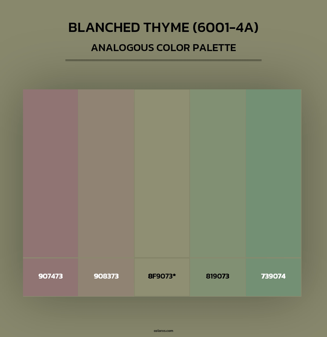Blanched Thyme (6001-4A) - Analogous Color Palette