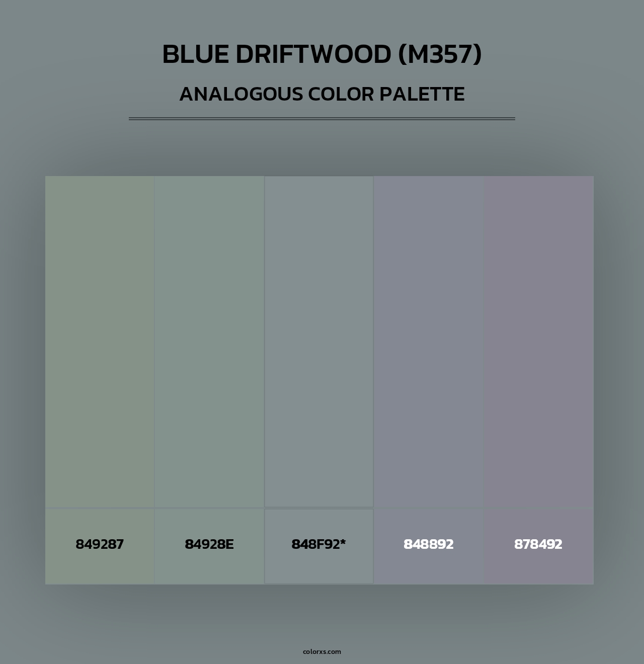 Blue Driftwood (M357) - Analogous Color Palette