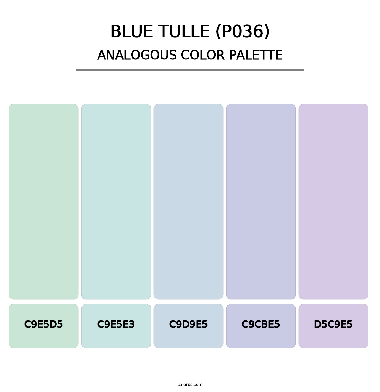 Blue Tulle (P036) - Analogous Color Palette