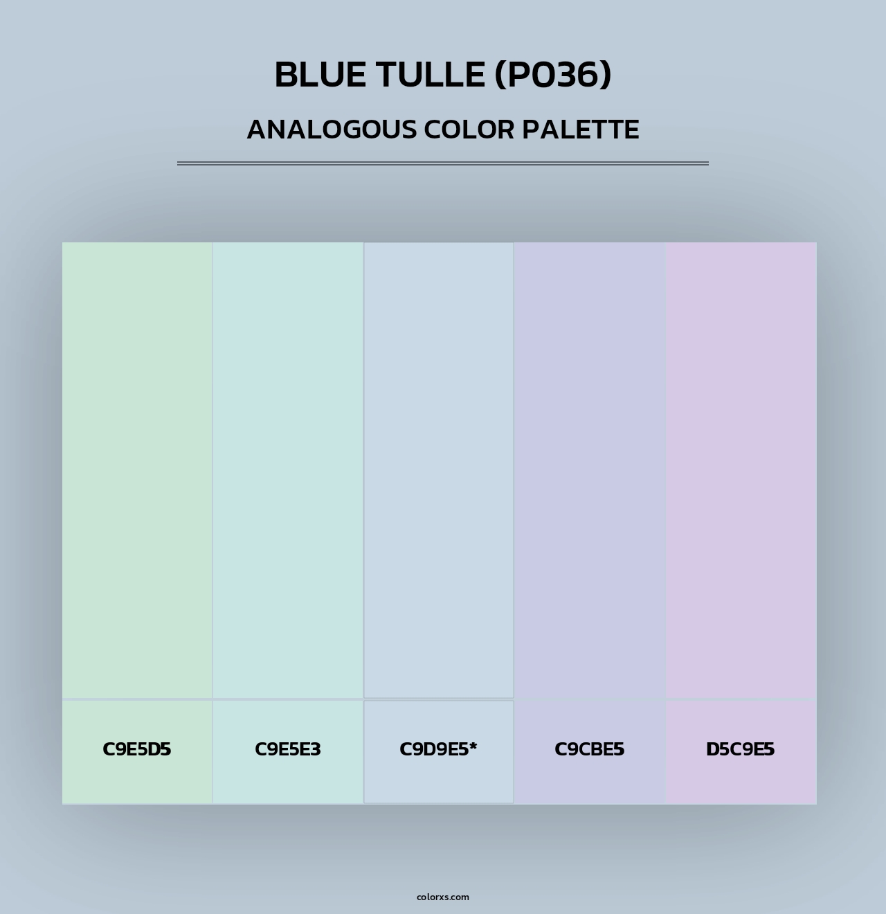 Blue Tulle (P036) - Analogous Color Palette
