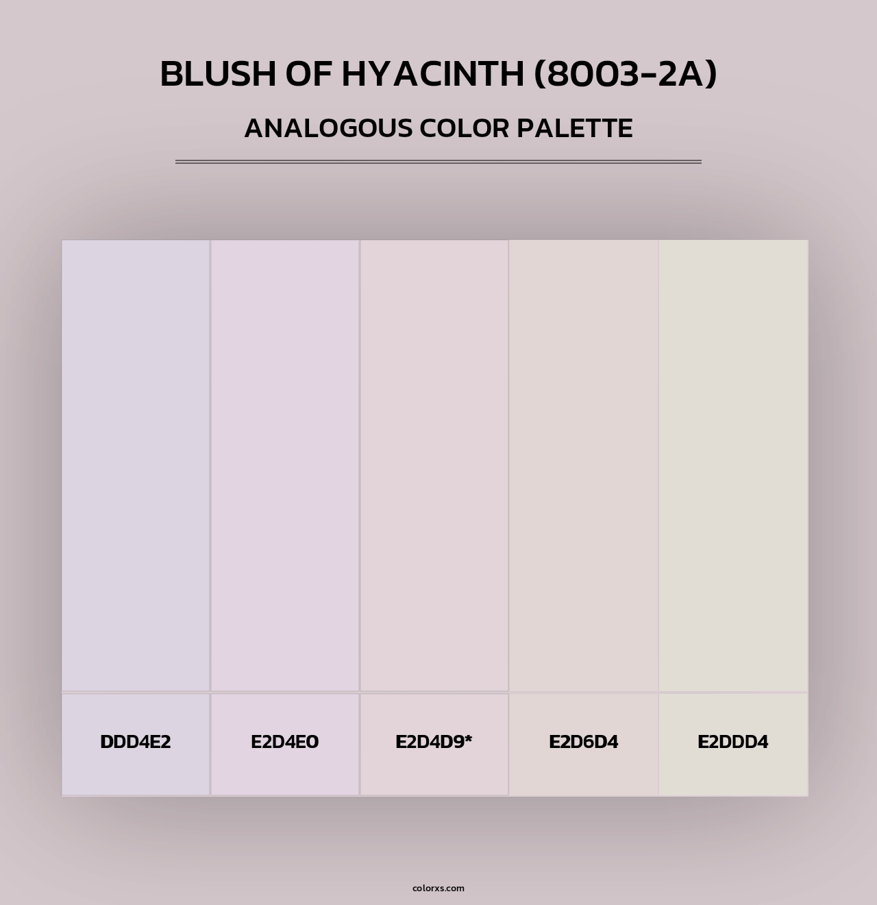 Blush of Hyacinth (8003-2A) - Analogous Color Palette