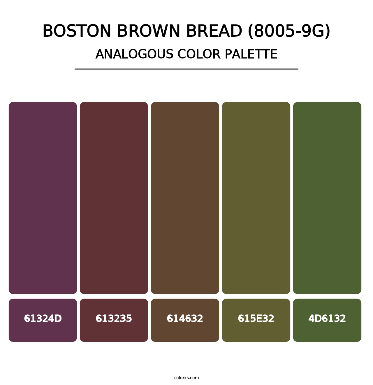 Boston Brown Bread (8005-9G) - Analogous Color Palette