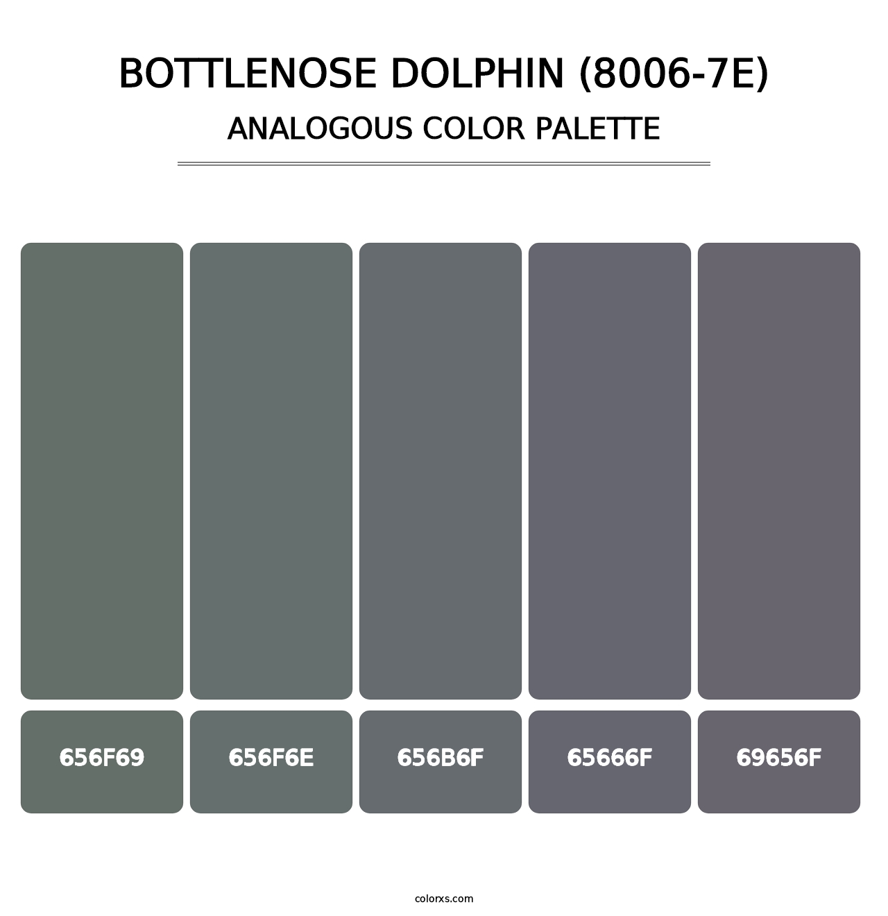 Bottlenose Dolphin (8006-7E) - Analogous Color Palette
