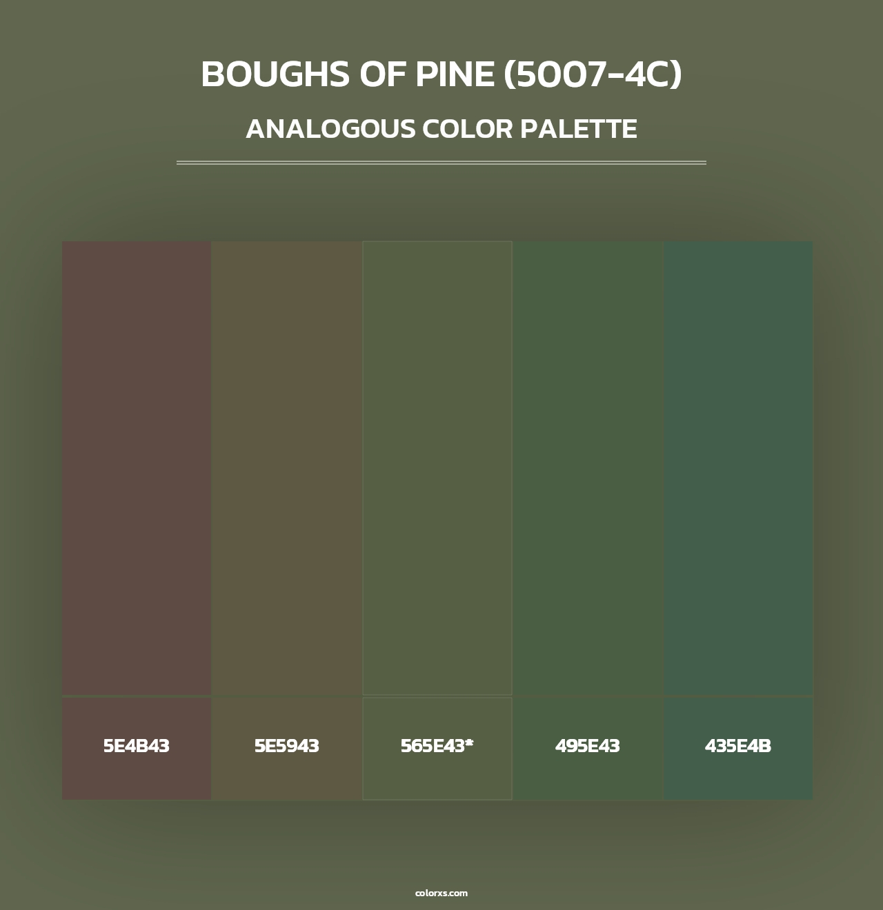 Boughs of Pine (5007-4C) - Analogous Color Palette