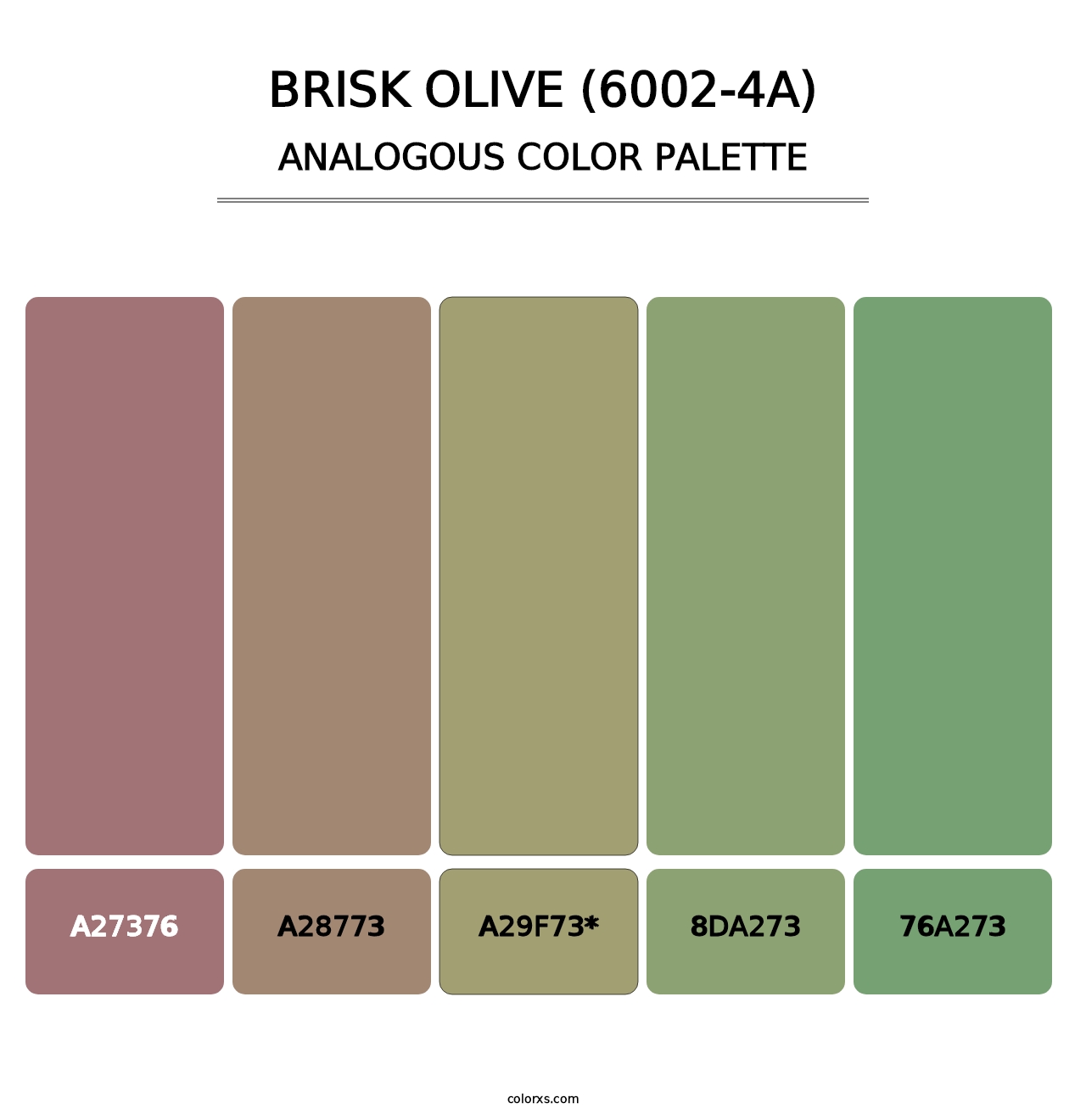 Brisk Olive (6002-4A) - Analogous Color Palette