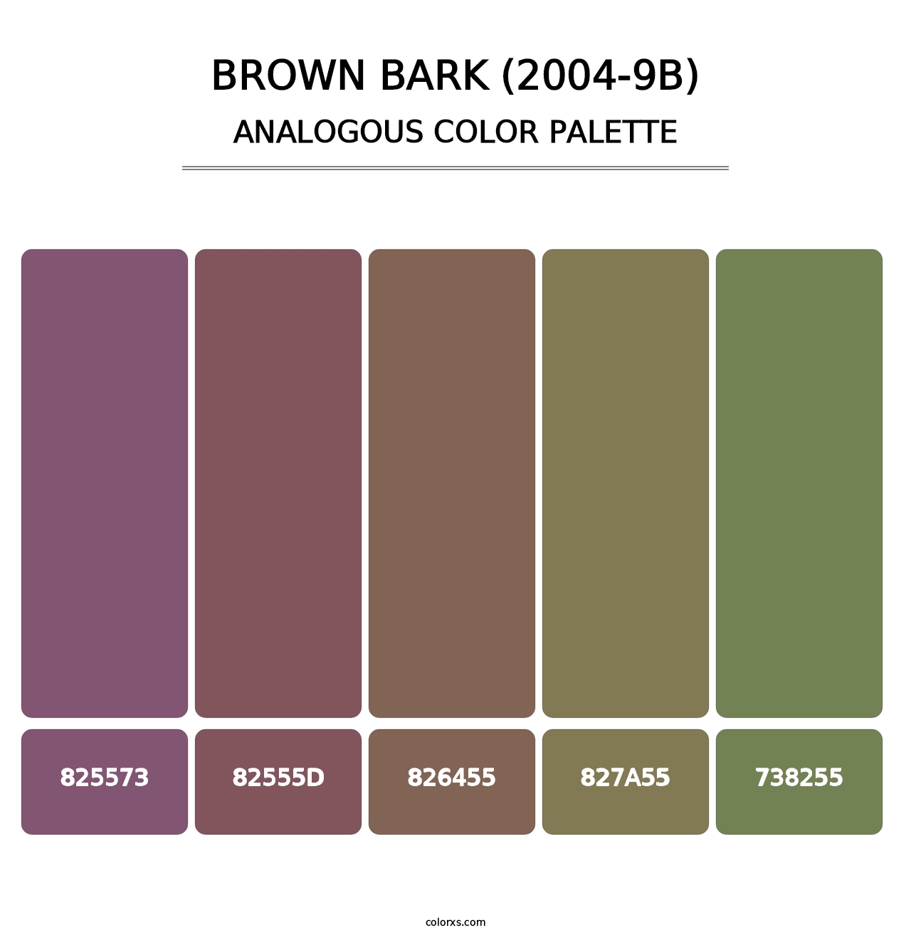 Brown Bark (2004-9B) - Analogous Color Palette