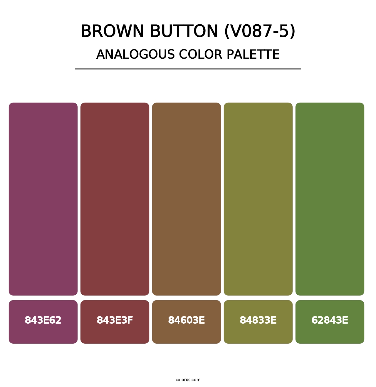 Brown Button (V087-5) - Analogous Color Palette