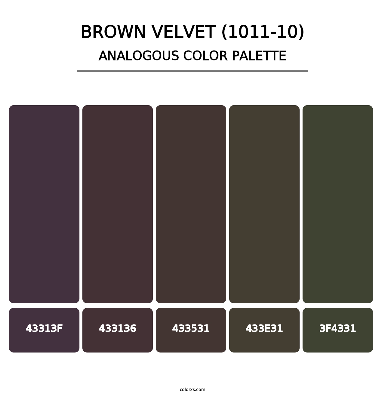 Brown Velvet (1011-10) - Analogous Color Palette