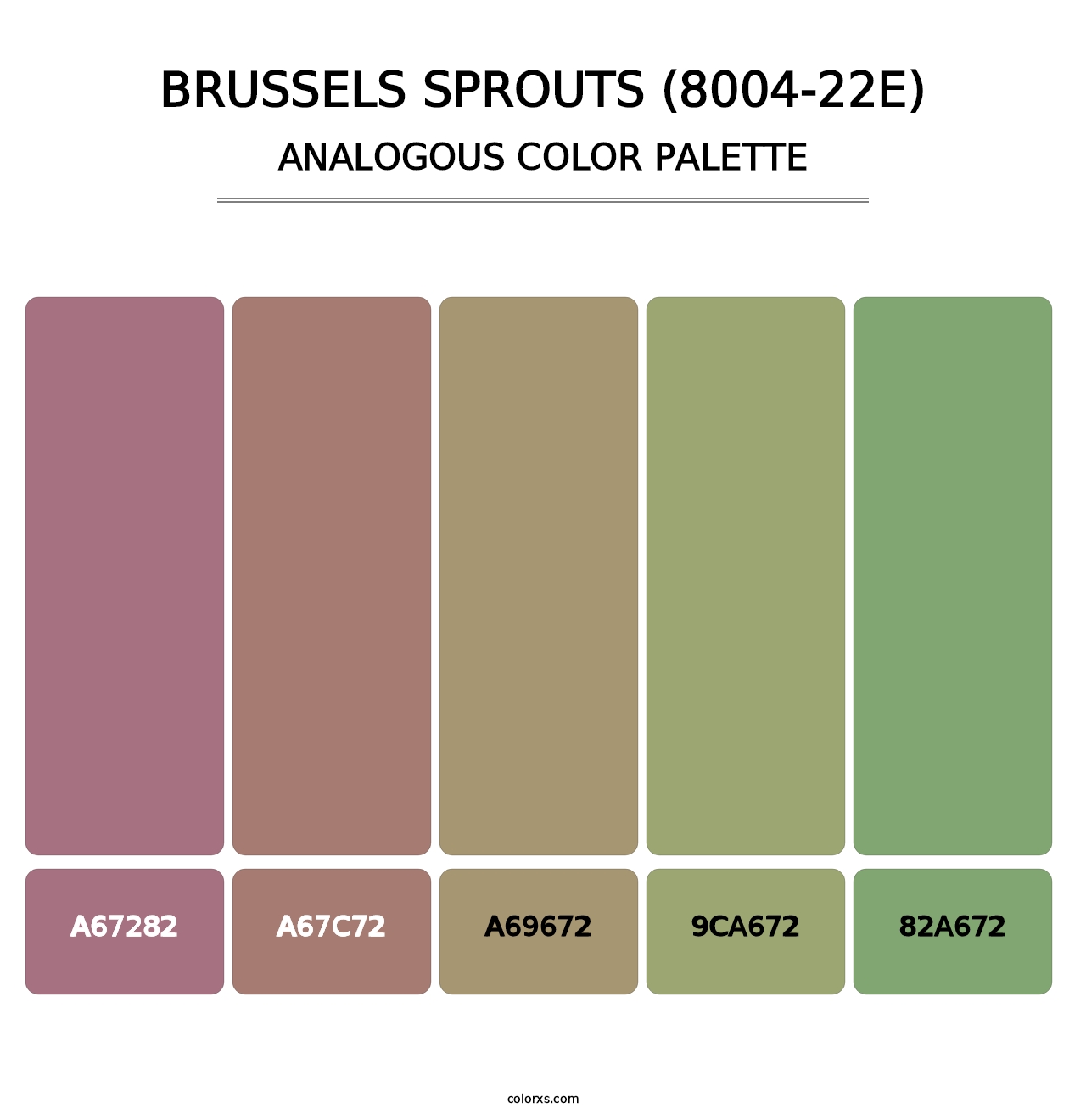 Brussels Sprouts (8004-22E) - Analogous Color Palette