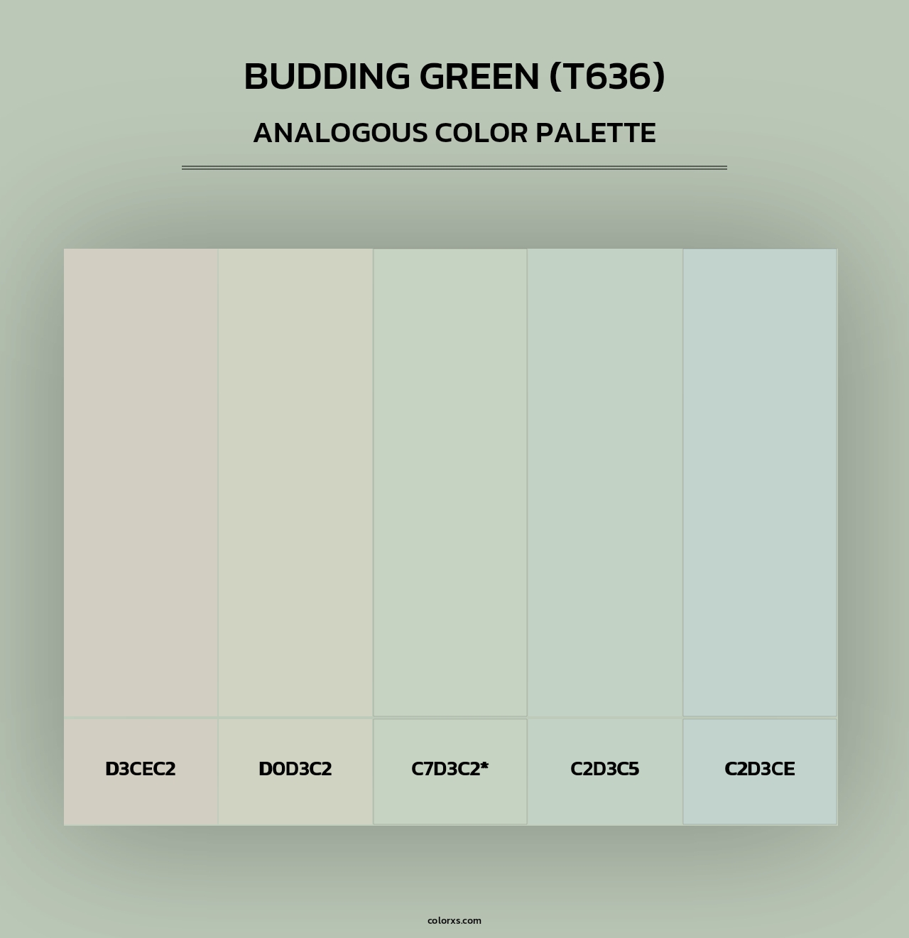 Budding Green (T636) - Analogous Color Palette