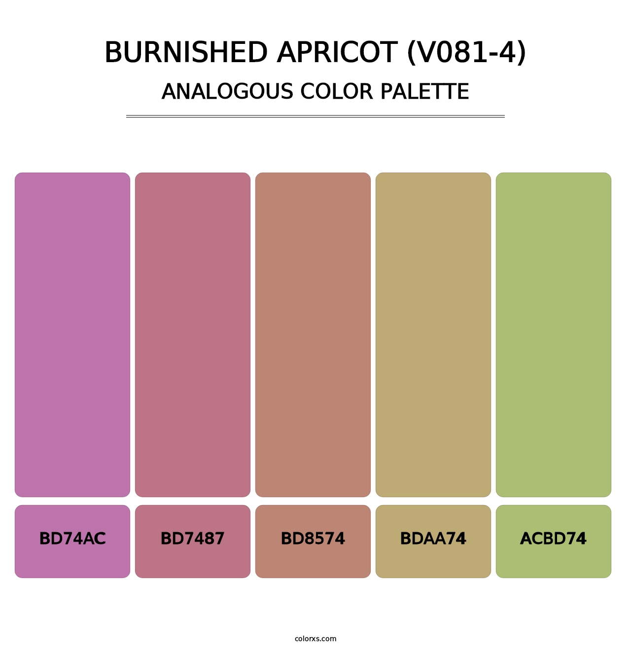 Burnished Apricot (V081-4) - Analogous Color Palette