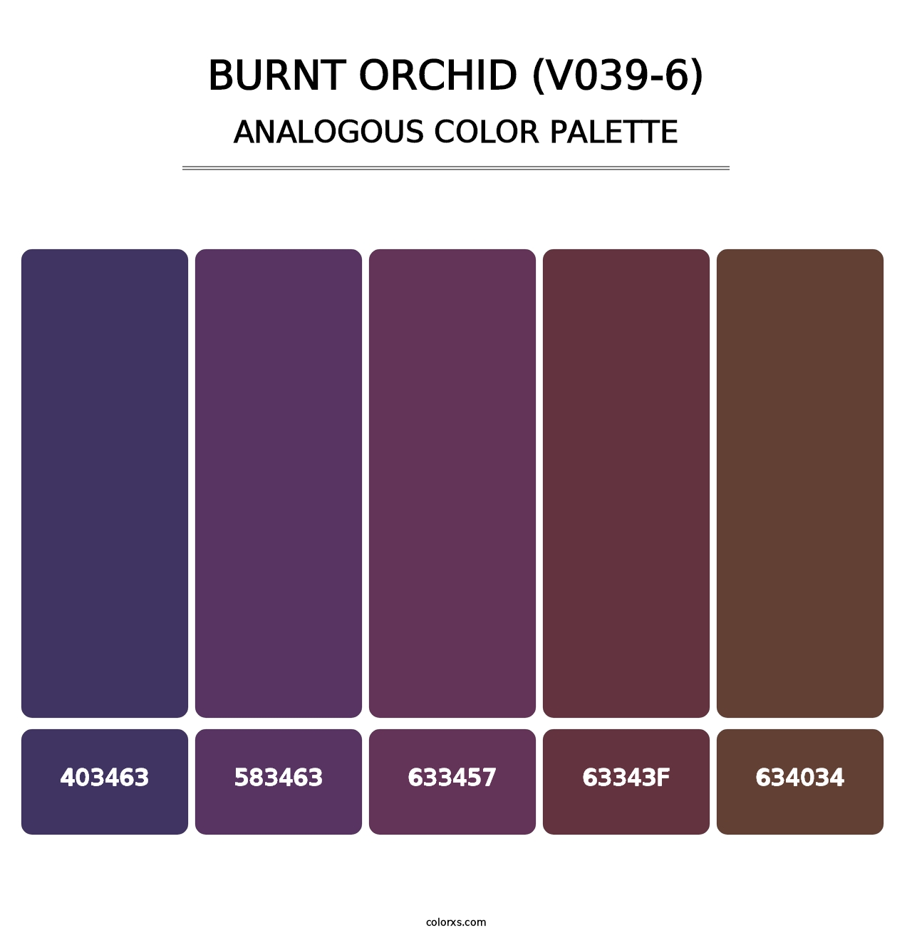 Burnt Orchid (V039-6) - Analogous Color Palette