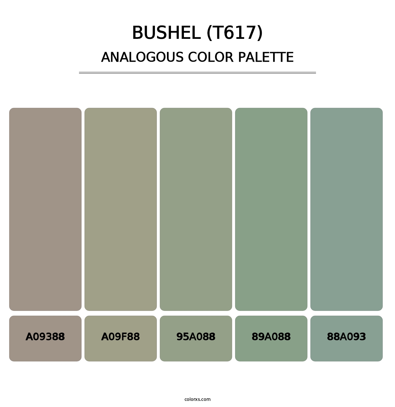 Bushel (T617) - Analogous Color Palette