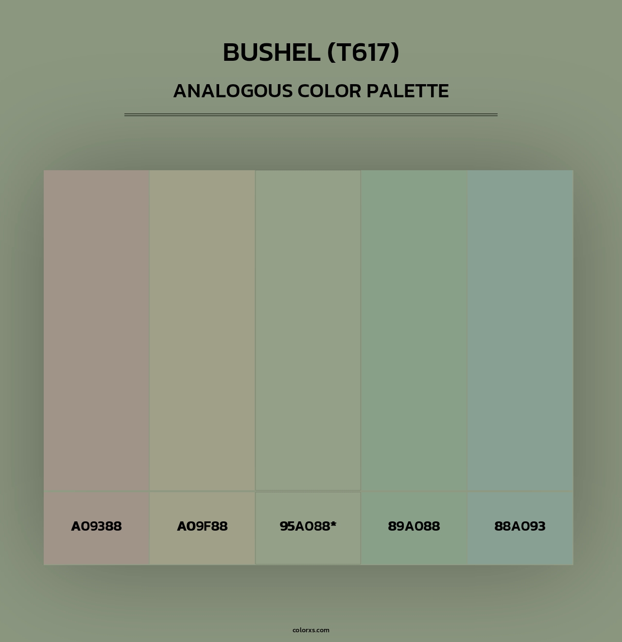 Bushel (T617) - Analogous Color Palette