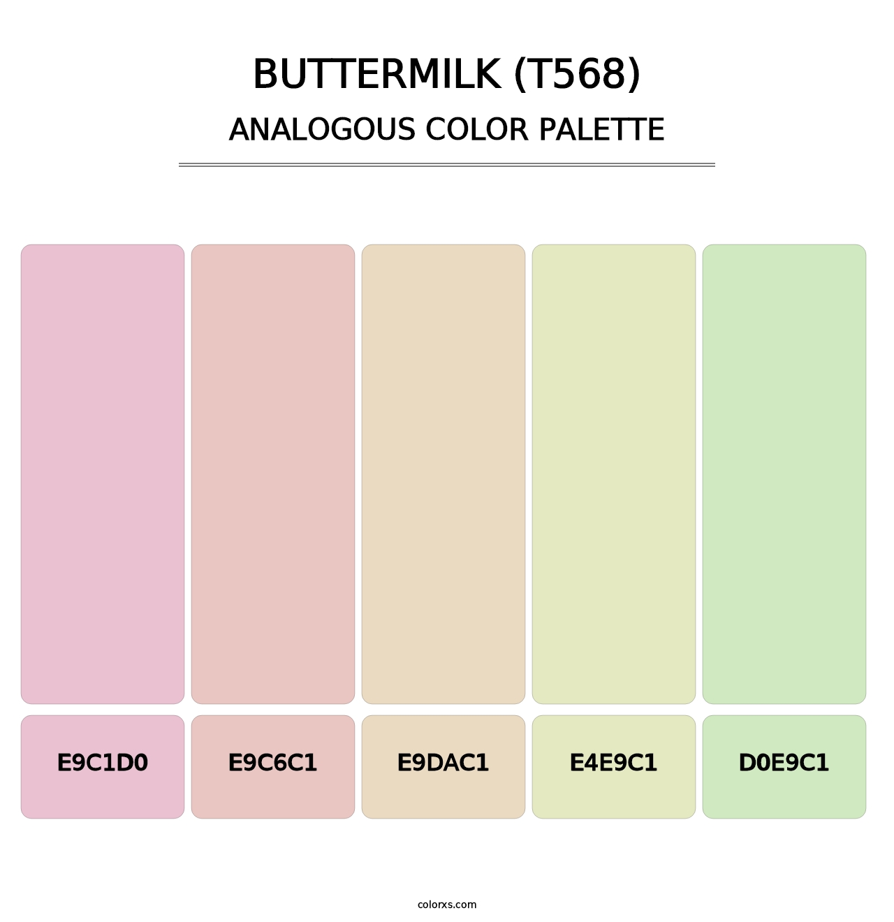 Buttermilk (T568) - Analogous Color Palette