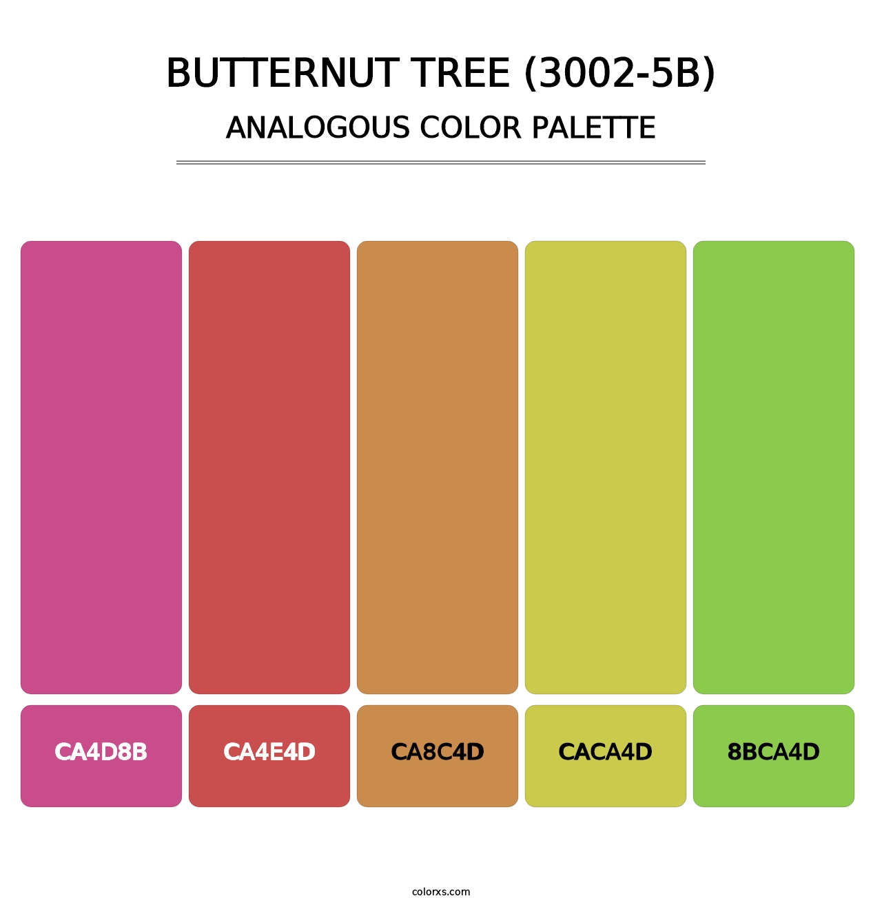 Butternut Tree (3002-5B) - Analogous Color Palette