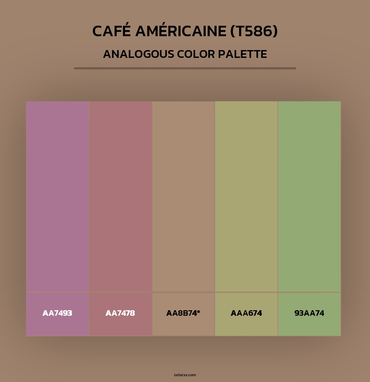 Café Américaine (T586) - Analogous Color Palette