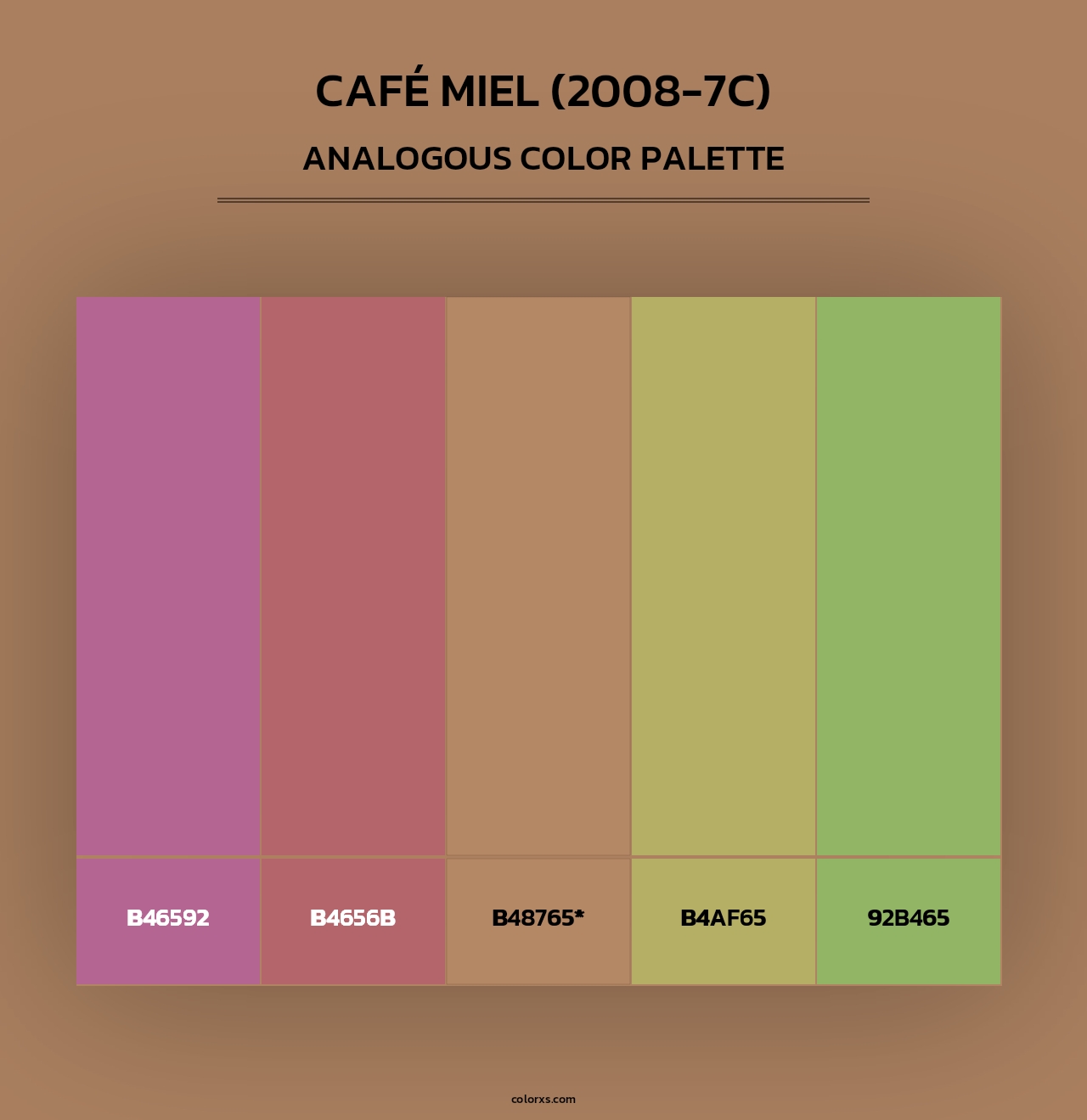 Café Miel (2008-7C) - Analogous Color Palette