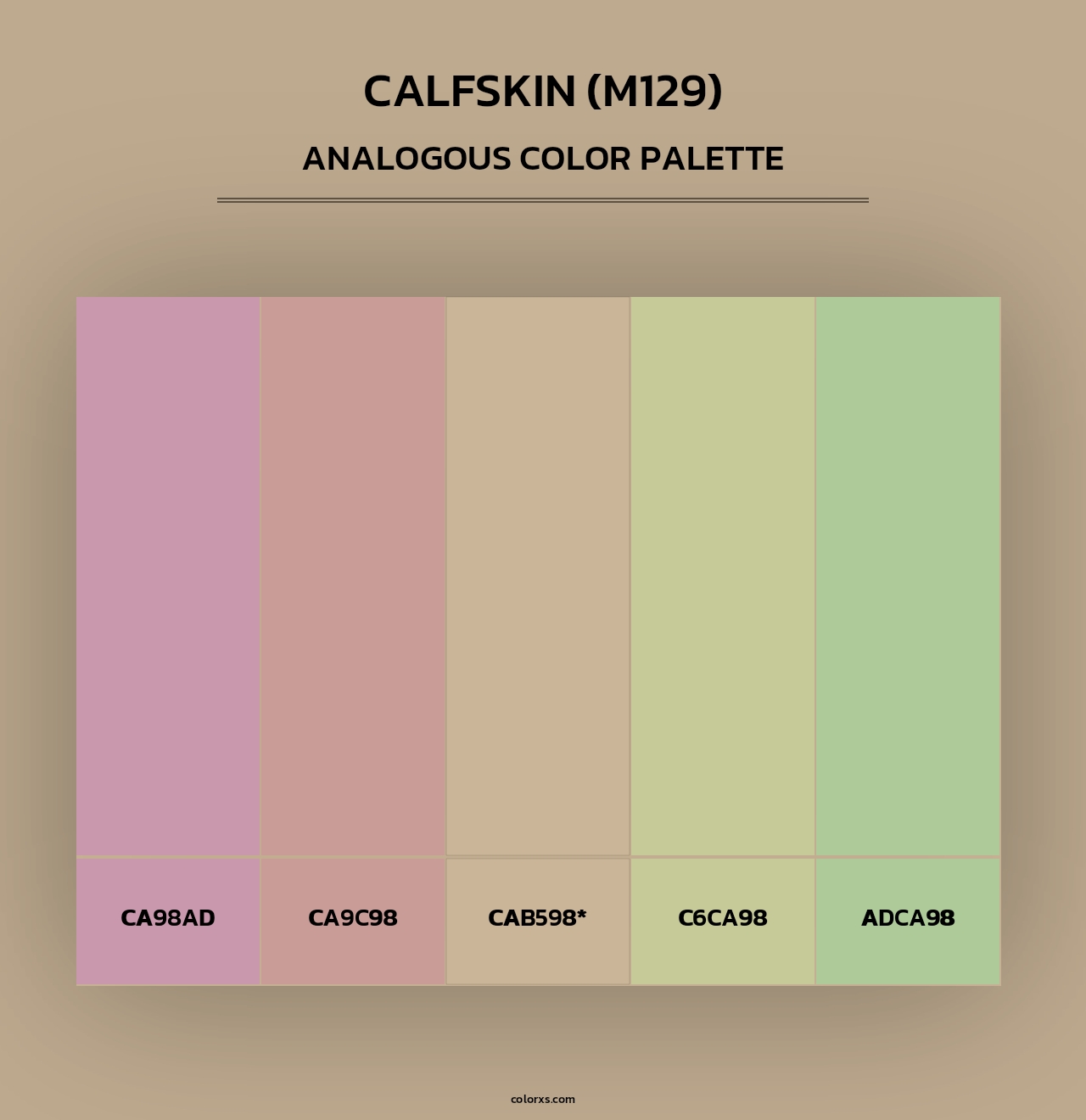 Calfskin (M129) - Analogous Color Palette