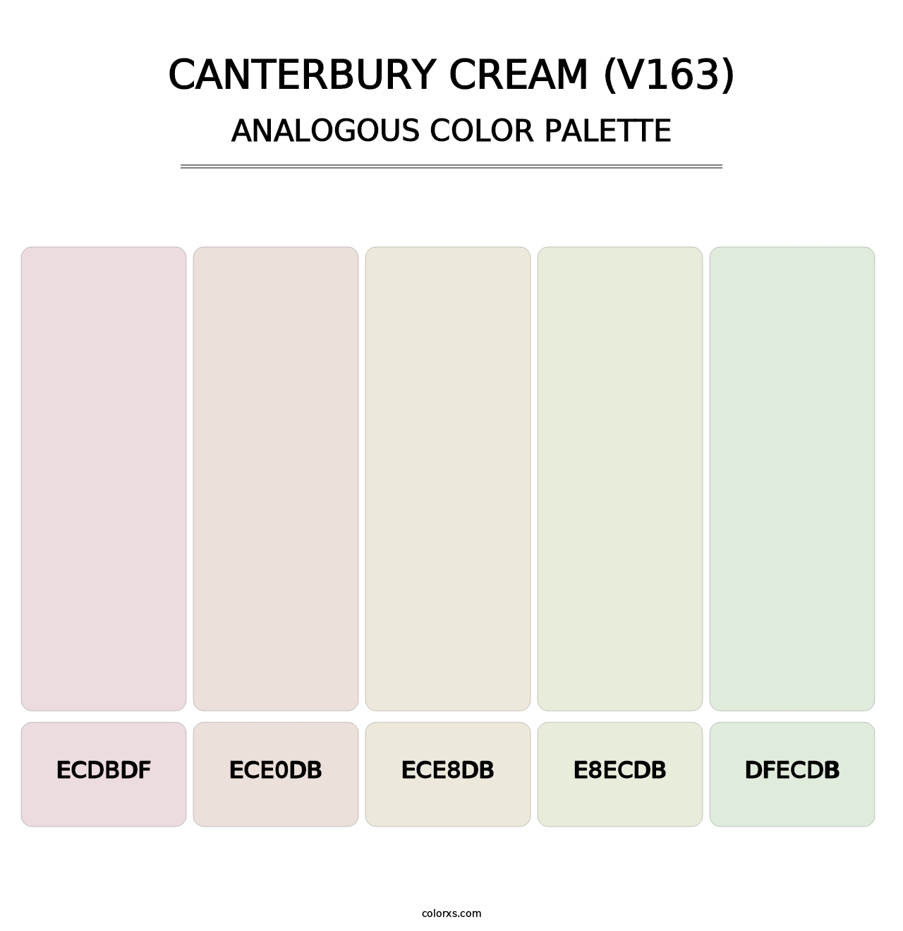 Canterbury Cream (V163) - Analogous Color Palette