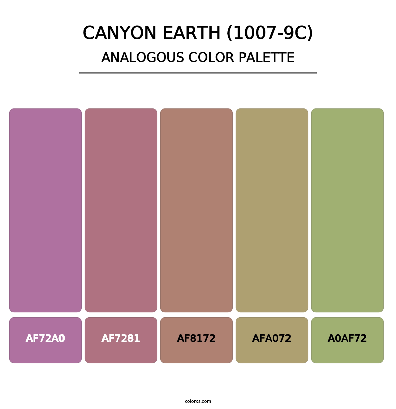 Canyon Earth (1007-9C) - Analogous Color Palette