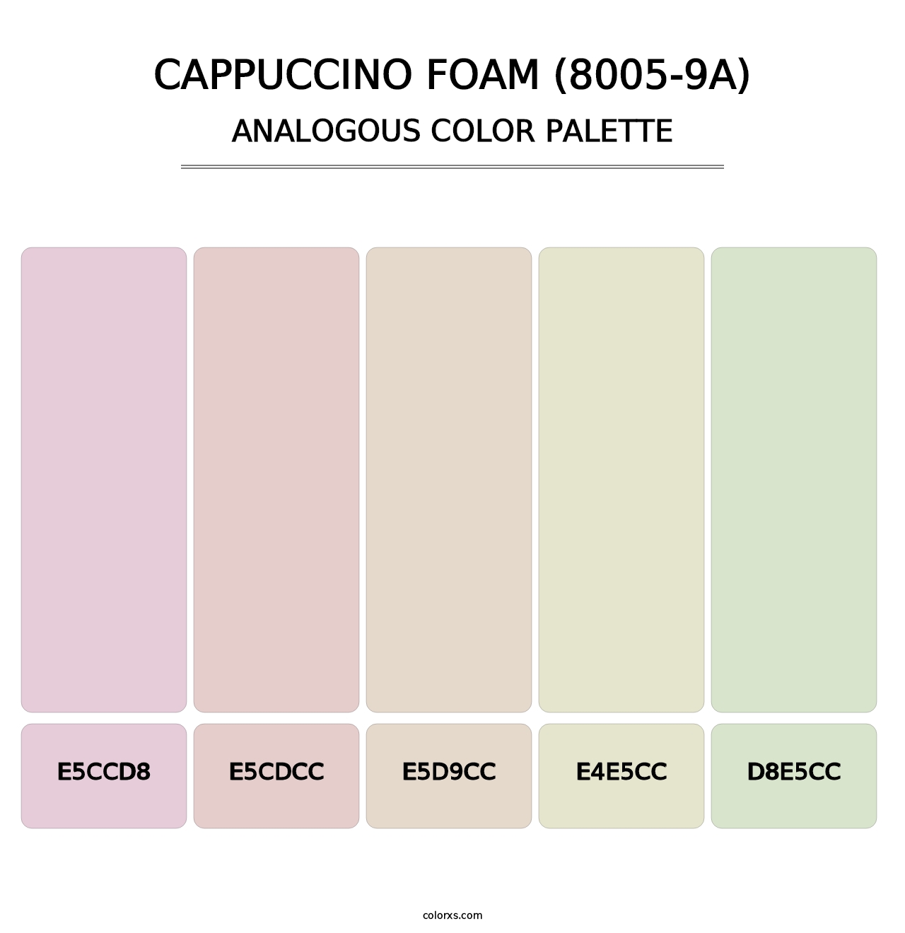 Cappuccino Foam (8005-9A) - Analogous Color Palette
