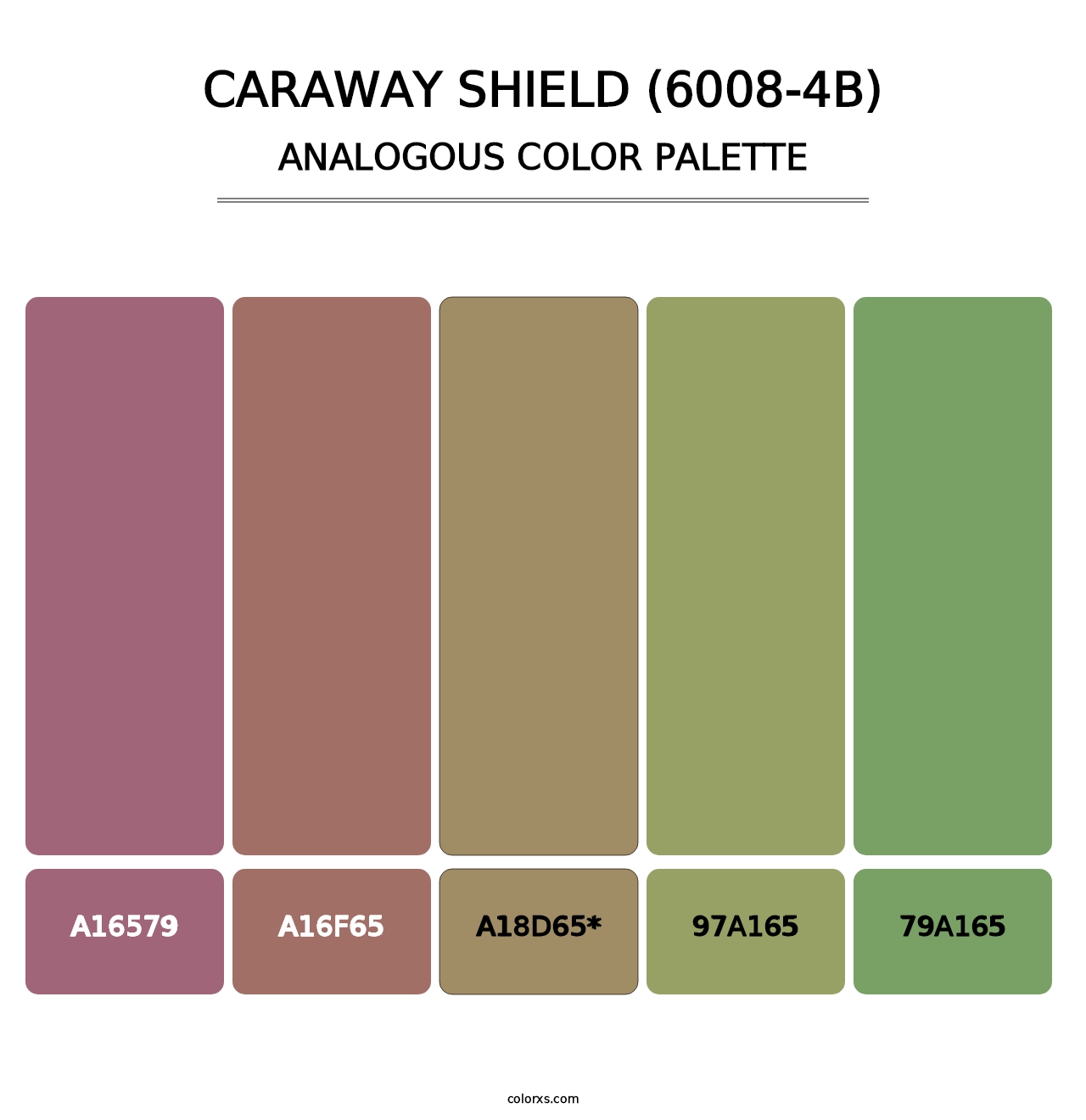 Caraway Shield (6008-4B) - Analogous Color Palette