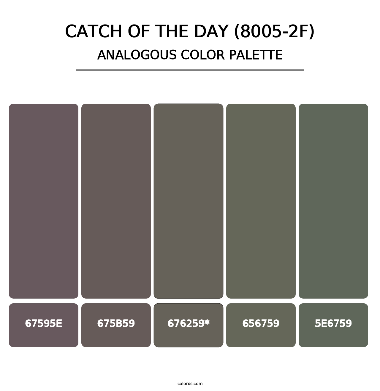 Catch of the Day (8005-2F) - Analogous Color Palette