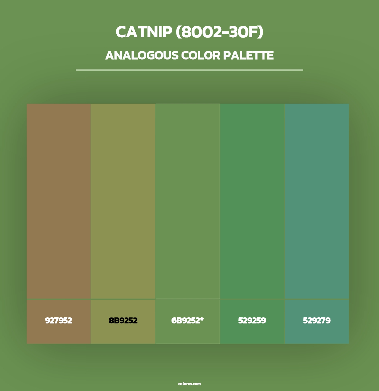 Catnip (8002-30F) - Analogous Color Palette