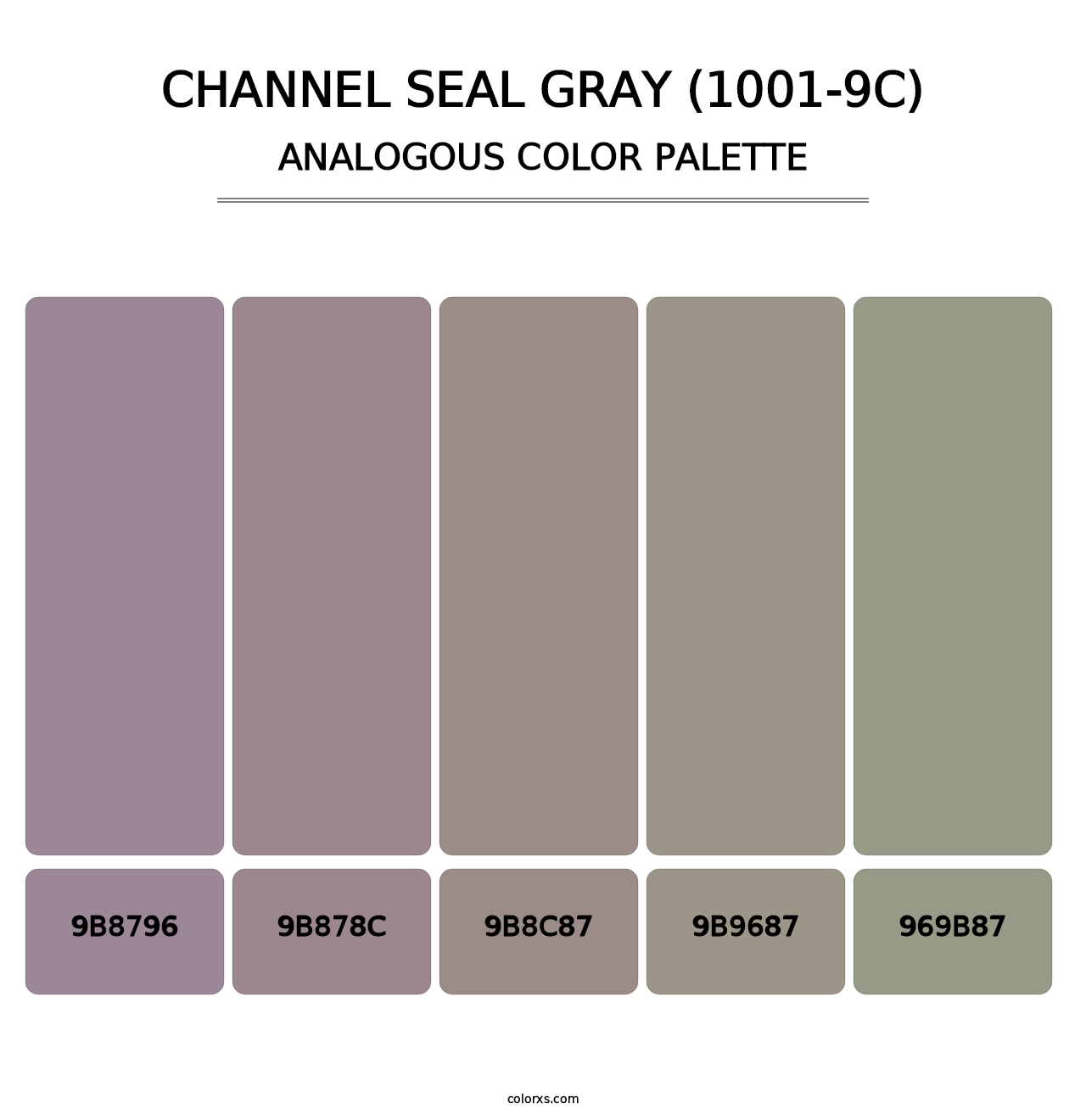 Channel Seal Gray (1001-9C) - Analogous Color Palette