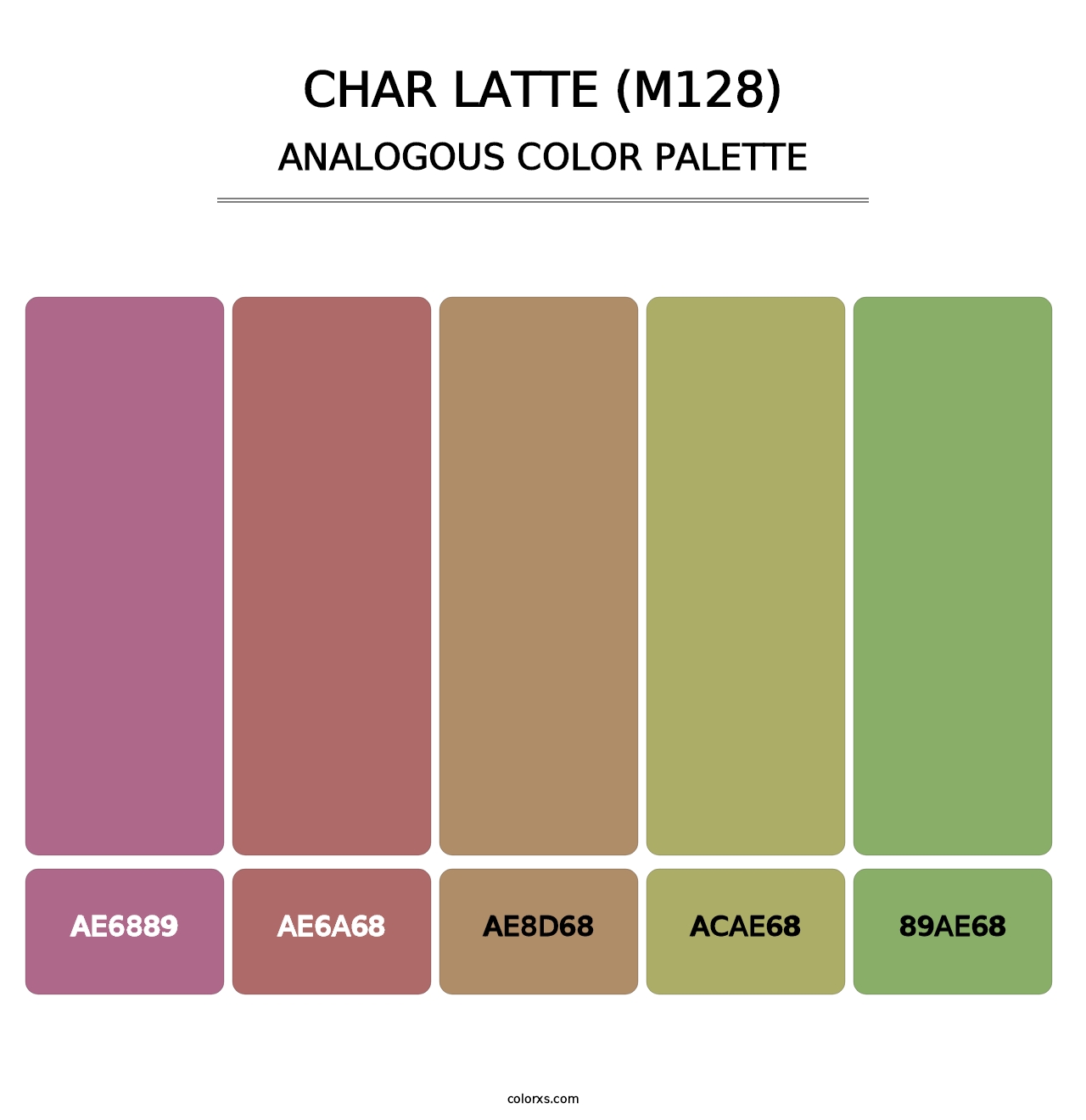 Char Latte (M128) - Analogous Color Palette