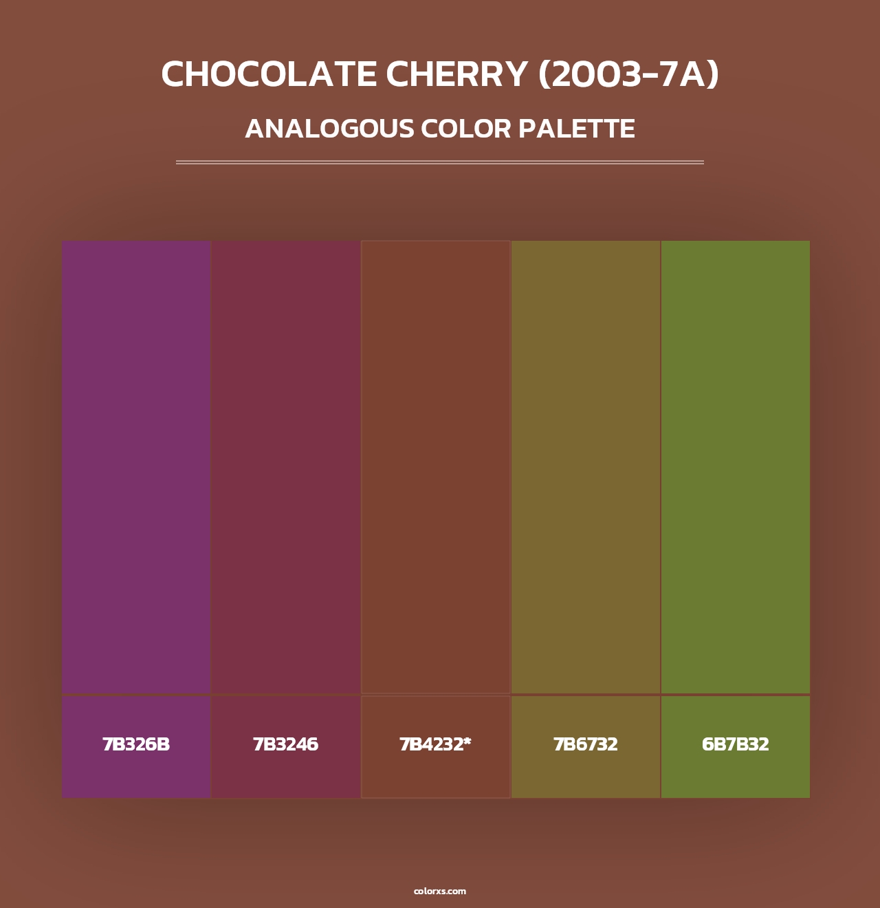 Chocolate Cherry (2003-7A) - Analogous Color Palette