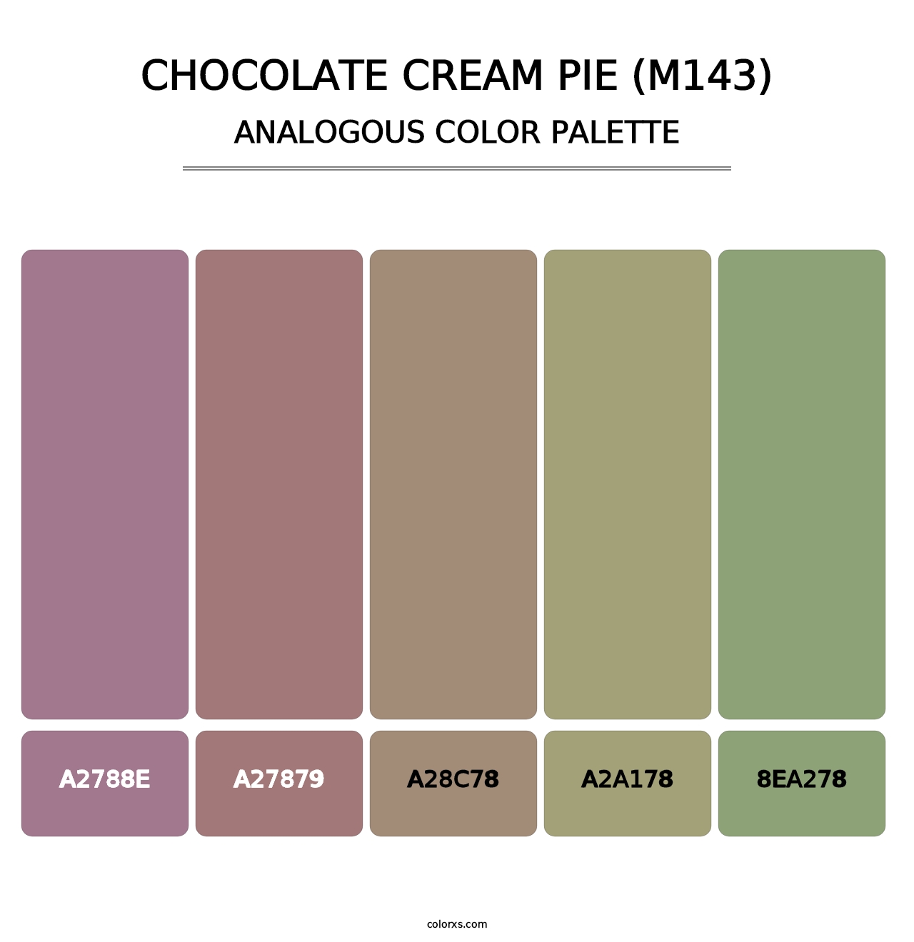 Chocolate Cream Pie (M143) - Analogous Color Palette