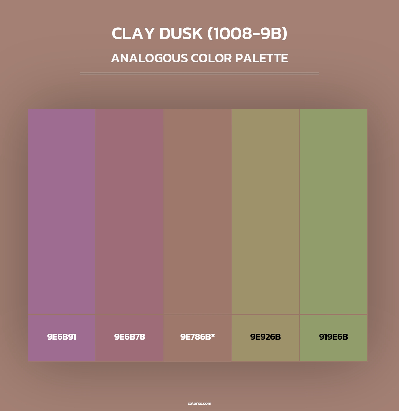 Clay Dusk (1008-9B) - Analogous Color Palette