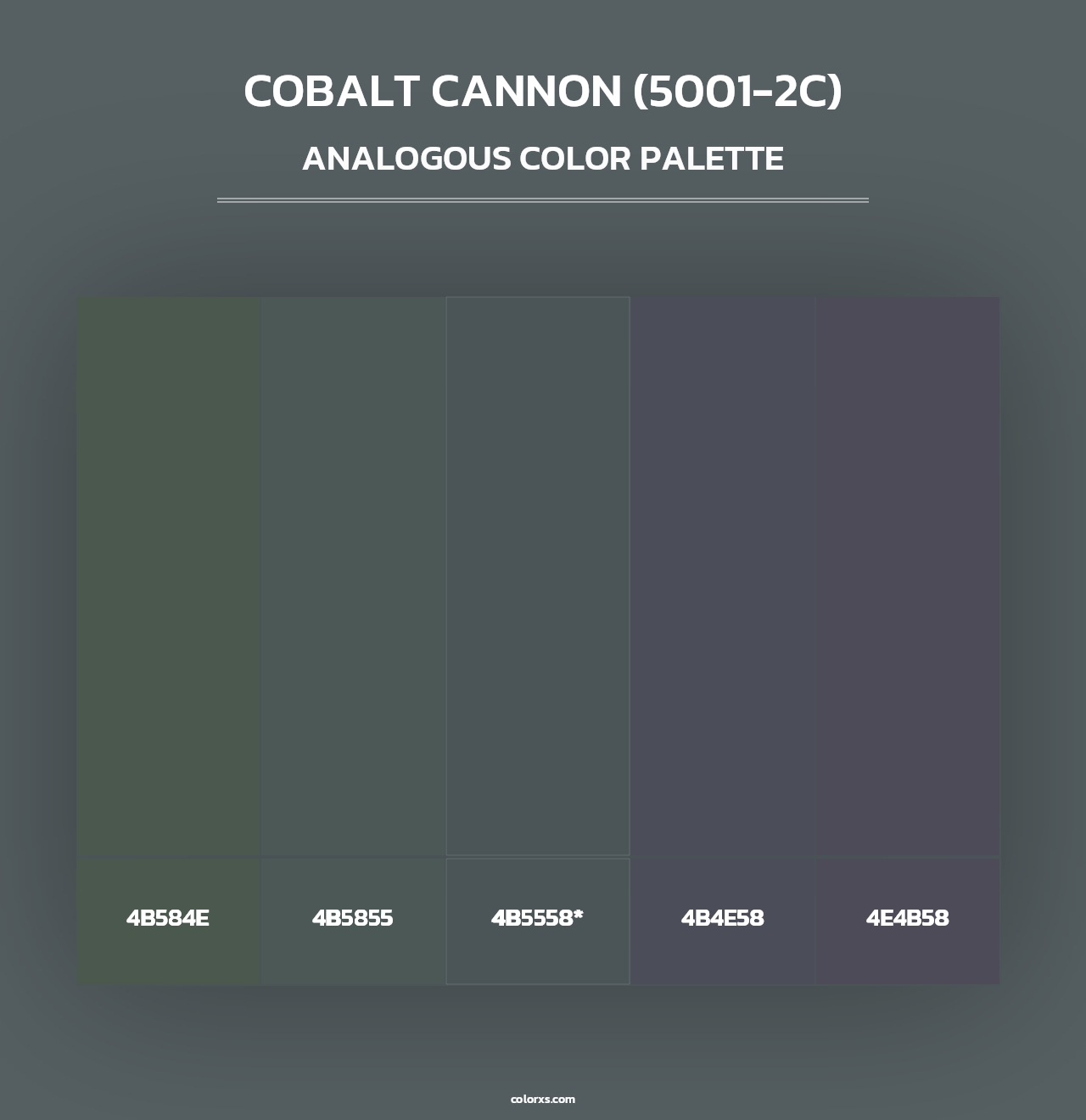 Cobalt Cannon (5001-2C) - Analogous Color Palette