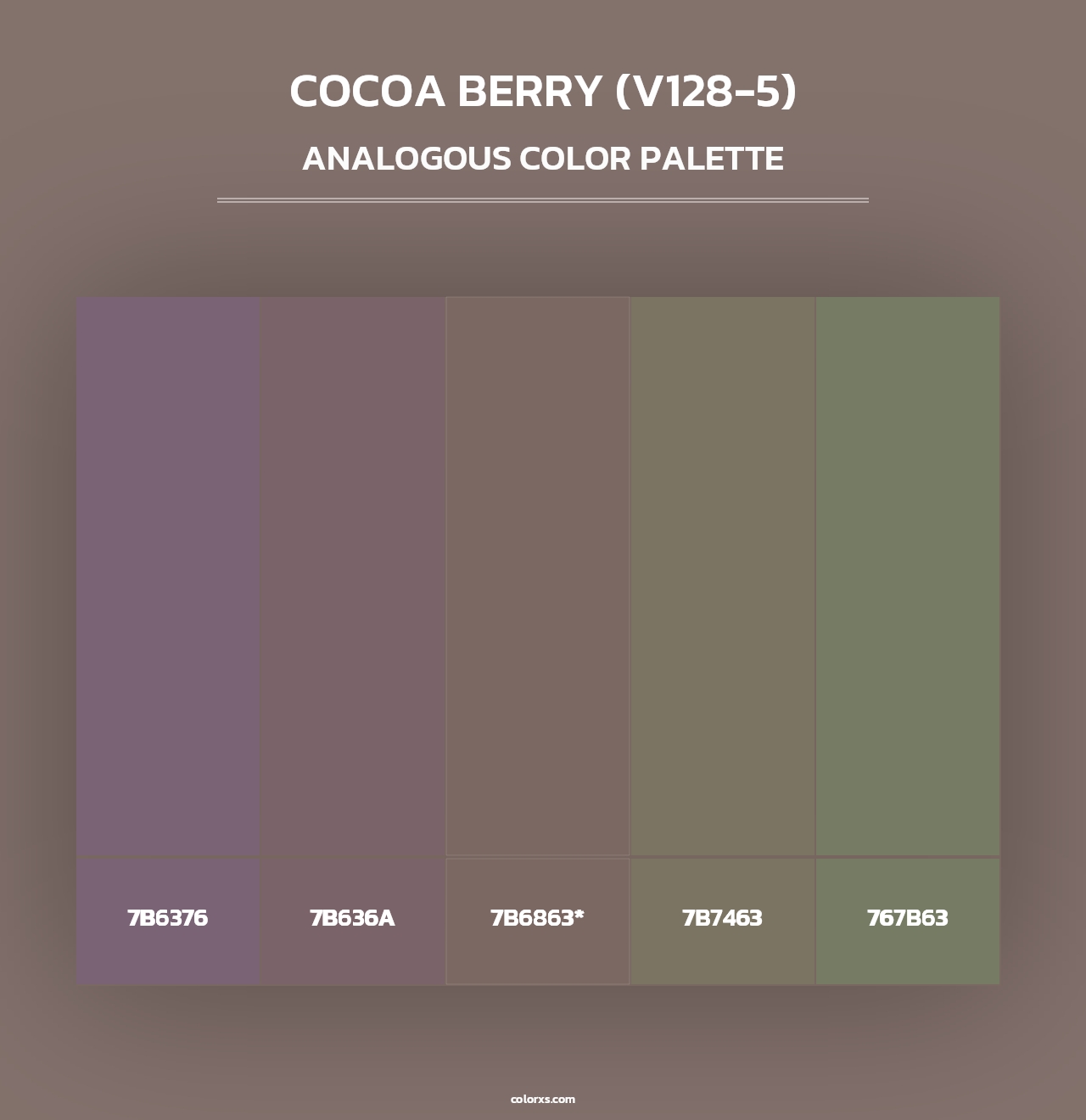 Cocoa Berry (V128-5) - Analogous Color Palette