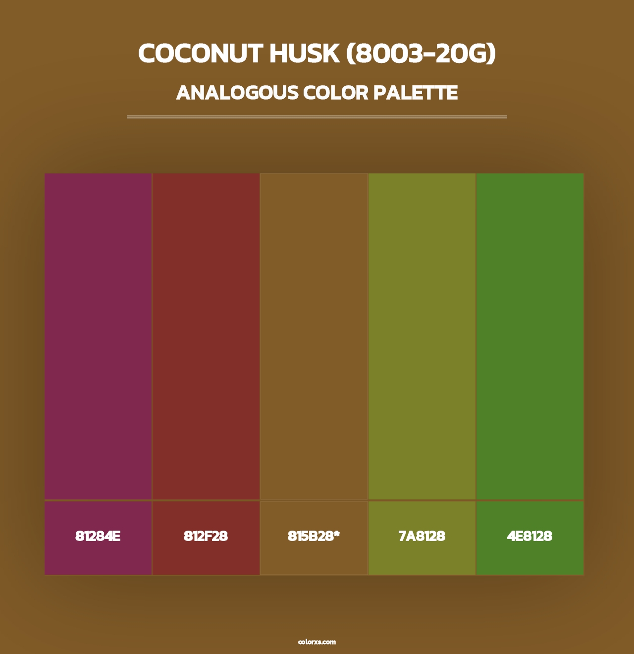 Coconut Husk (8003-20G) - Analogous Color Palette