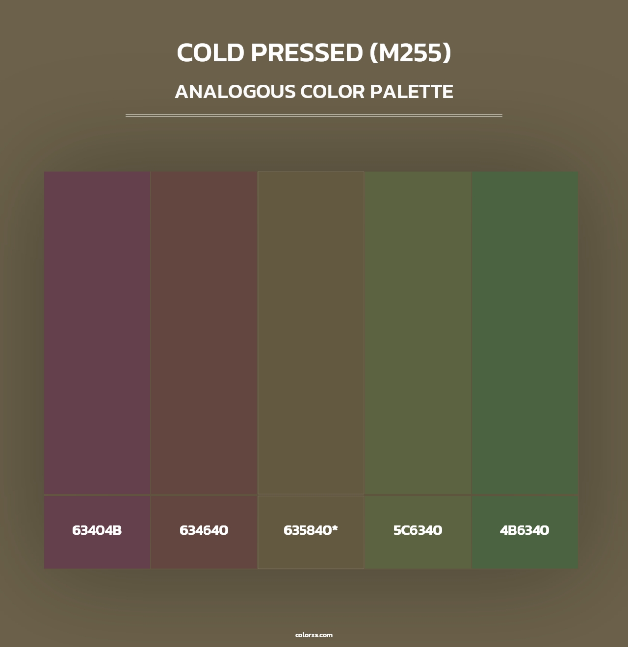 Cold Pressed (M255) - Analogous Color Palette