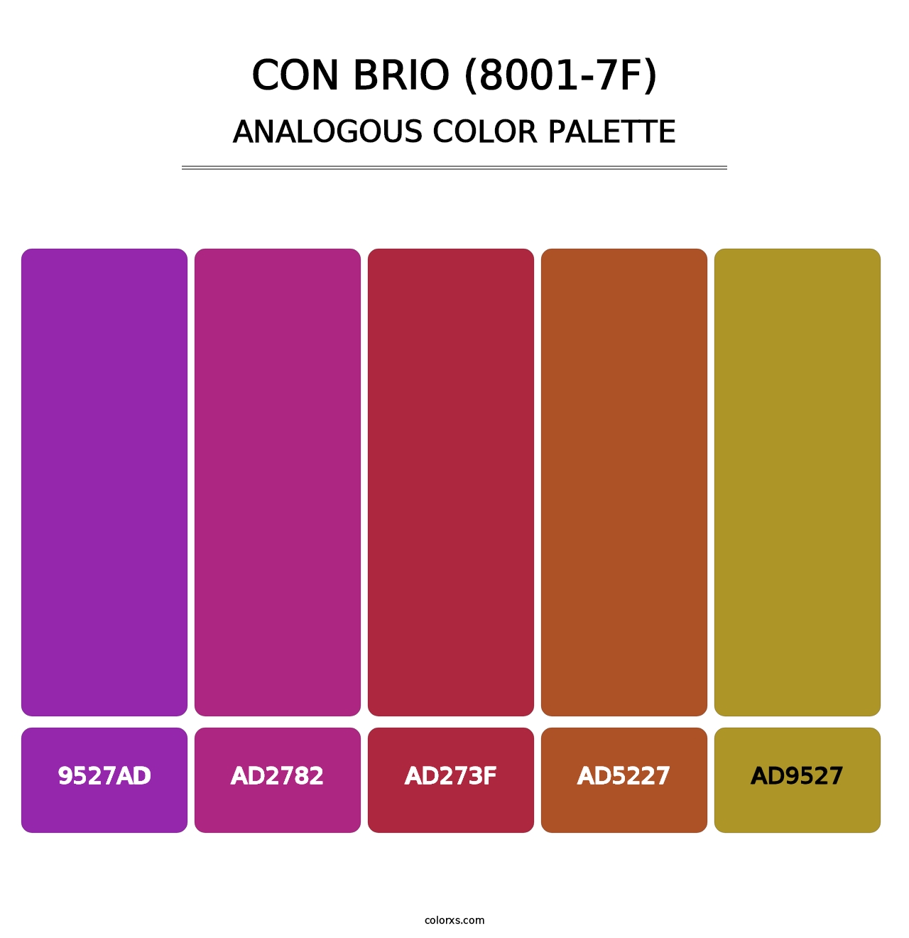 Con Brio (8001-7F) - Analogous Color Palette